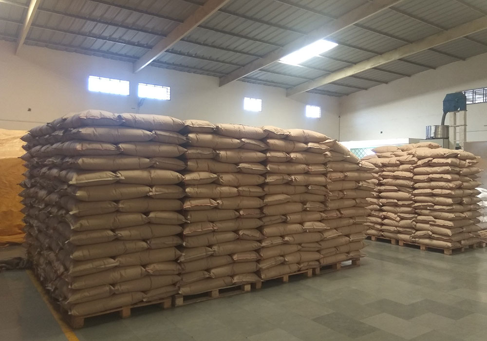 Infrastructure -  Mahi Enterprise